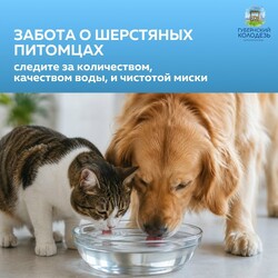 Забота о наших питомцах